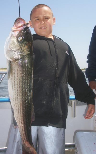 9 year old Tariq Abuhilwa, Old Bridge, N.J. with his first Striper. 31 inches, 16 pounds.